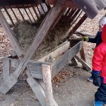 phoca_thumb_m_ke krmelci 20 Fotogalerie